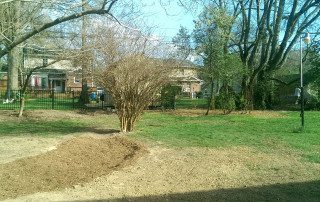 Bio Retention Well | Higher Ground Chattanooga