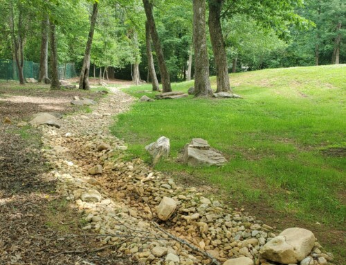 Drainage Swale / Dry Creek